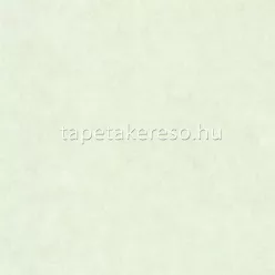   Caselio Beton 2 vlies, vinyl anyagú zöld színű foltos, betonhatású modern tapéta