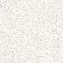   Caselio ColorBox 3 vinyl, vlies anyagú fehér, ezüst színű pöttyös modern tapéta