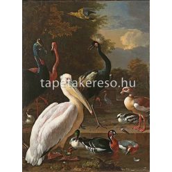   AS Creation History of Art vlies anyagú kék, fehér, narancssárga, zöld, barna színű madaras, festmény romantikus poszter