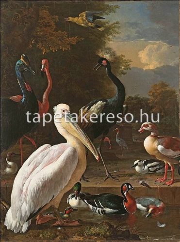 AS Creation History of Art vlies anyagú kék, fehér, narancssárga, zöld, barna színű madaras, festmény romantikus poszter