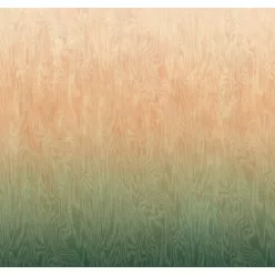   Khroma Wall Designs IV vlies anyagú, zöld, barack színű, moire, színátmenetes, Modern poszter