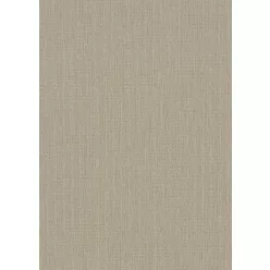   Erismann Fashion for Walls 5, vinyl, vlies anyagú, barna, csillámos színű, struktúrált, egyszínű, Modern tapéta