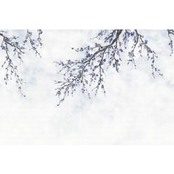   Adawall Fiji vlies, vinyl anyagú fehér, szürke, kék színű ágas, virágos modern poszter
