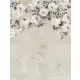 Decoprint Feature Walls vinyl, vlies anyagú, beige, fehér, szürke színű, virágos, Modern poszter