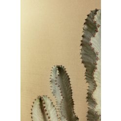   Khroma Havanna vlies anyagú barna színű struktúrált, egyszínű modern tapéta