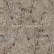 Gianfranco Ferre Gianfranco Ferre Home No.3 vlies, vinyl anyagú barna, törtfehér, gyöngyház színű növényes, repedezett klasszikus tapéta