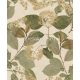 Decoprint Herbarium vlies, vinyl anyagú beige, zöld, barna színű ágas, leveles, virágos modern, natural tapéta