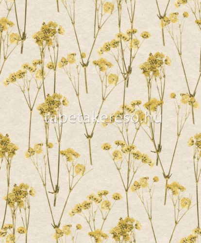 Decoprint Herbarium vlies, vinyl anyagú beige, sárga, barna színű növényes, virágos modern, natural tapéta