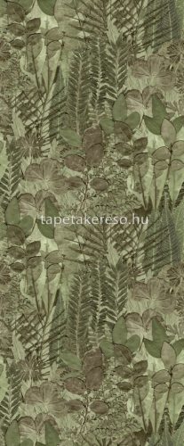 Decoprint Herbarium vlies anyagú zöld, barna színű leveles modern, natural poszter