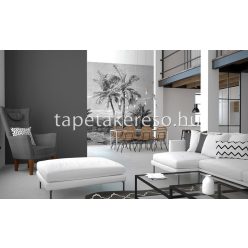   Behang Expresse Colorchoc Light and Dark vlies anyagú fekete, szürke színű tájkép modern poszter