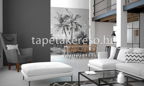 Behang Expresse Colorchoc Light and Dark vlies anyagú fekete, szürke színű tájkép modern poszter
