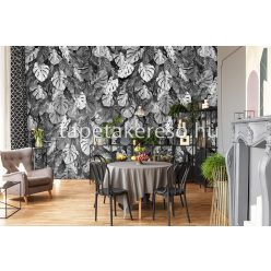   Behang Expresse Colorchoc Light and Dark vlies anyagú szürke, fekete színű leveles modern poszter