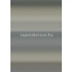   Behang Expresse Esbjerg vlies anyagú szürke színű színátmenetes modern tapéta