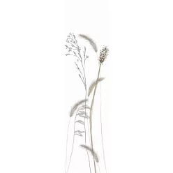   Marburg Jubilaums 175 vlies anyagú, szürke, fehér színű, növényes, gyűrt, Modern poszter