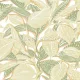 Casadeco Mediterranee vlies anyagú fehér, beige, zöld, rózsaszín színű leveles modern, natural tapéta