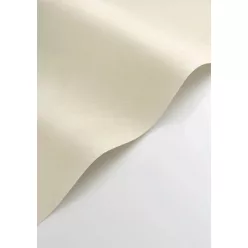   Casadeco Nest vlies, vinyl anyagú, beige színű, karmolt, struktúrált, egyszínű, Modern tapéta