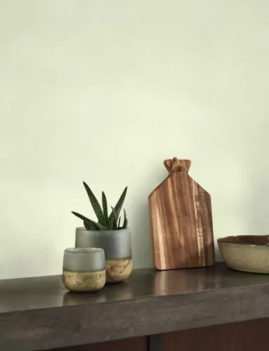 Casadeco Nest vlies, vinyl anyagú, zöld színű, karmolt, struktúrált, egyszínű, Modern tapéta