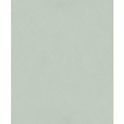   Casadeco Nest vlies, vinyl anyagú, menta színű, karmolt, struktúrált, egyszínű, Modern tapéta
