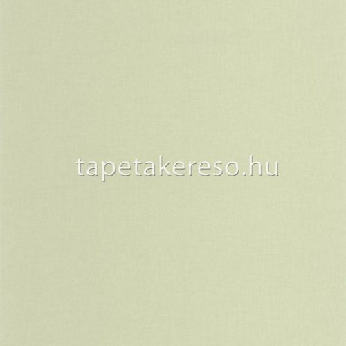 Caselio Outlines vlies, vinyl anyagú zöld színű egyszínű modern tapéta