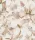 Rasch Florentine IV vlies anyagú, törtfehér, beige, barna színű, virágos, Modern poszter
