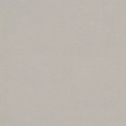   Rasch  Allegretto vlies, vinyl anyagú, homok színű, struktúrált, egyszínű, Modern tapéta