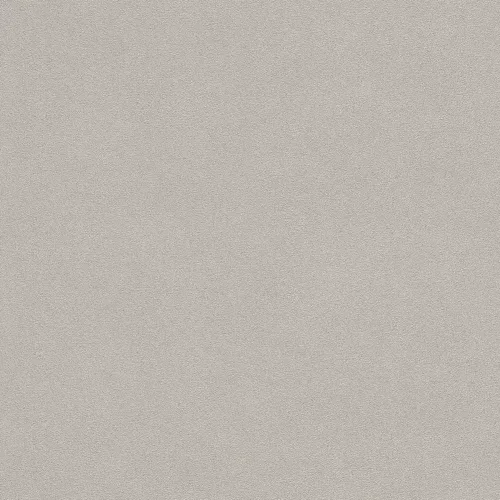 Rasch  Allegretto vlies, vinyl anyagú, homok színű, struktúrált, egyszínű, Modern tapéta