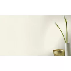   Rasch Rasch Back to Nature vinyl, vlies anyagú, fehér színű, egyszínű, struktúrált, Modern tapéta