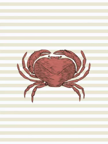 Casadeco Seaside vlies, vinyl anyagú, beige, fehér, piros színű, tenger, csíkos, Modern poszter
