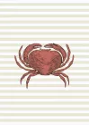 Casadeco Seaside vlies, vinyl anyagú, beige, fehér, piros színű, tenger, csíkos, Modern poszter