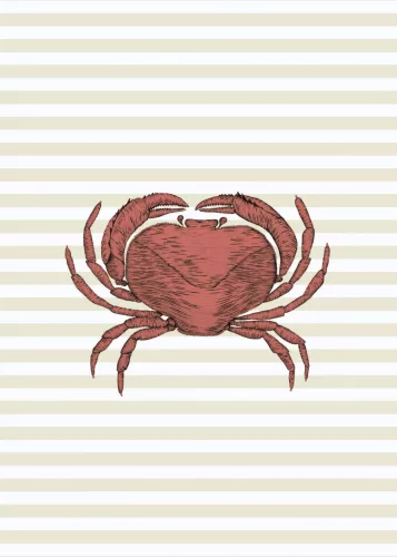Casadeco Seaside vlies, vinyl anyagú, beige, fehér, piros színű, tenger, csíkos, Modern poszter