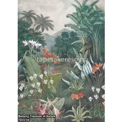   Behang Expresse Treasure of Nature vlies anyagú zöld, barna, sárga színű növényes, leveles, virágos, fás modern, natural poszter