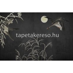   ICH Panorama vlies anyagú fekete, szürke színű madaras modern tapéta