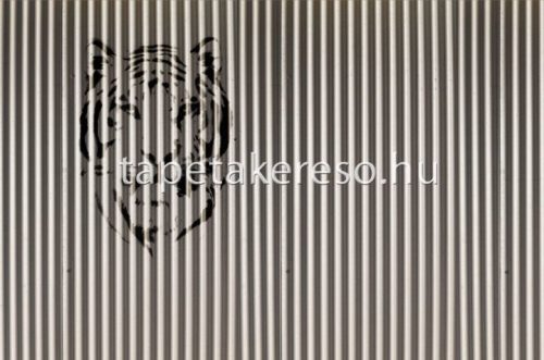 ICH Panorama vlies anyagú barna színű állatos, csíkos modern tapéta