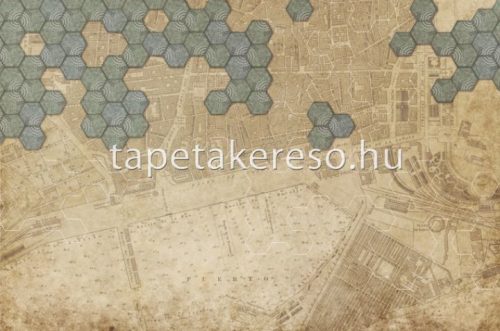 ICH Panorama vlies anyagú barna, zöld színű térkép, geometriai modern tapéta