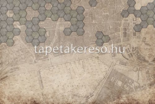ICH Panorama vlies anyagú barna színű térkép, geometriai modern tapéta