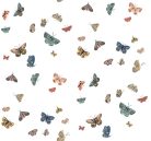 York RIFLE PAPER 3 vlies anyagú, fehér, kék, rózsaszín, barna, fekete színű, pillangós, Modern tapéta