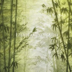   Zambaiti Parati Savana vlies, vinyl anyagú zöld színű fás, bambusz modern, natural poszter
