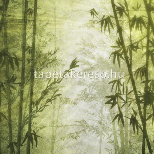 Zambaiti Parati Savana vlies, vinyl anyagú zöld színű fás, bambusz modern, natural poszter