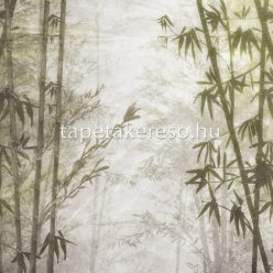   Zambaiti Parati Savana vlies, vinyl anyagú zöld színű fás, bambusz modern, natural poszter