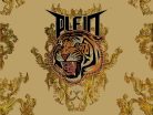 Zambaiti Parati Philipp Plein vlies, vinyl anyagú barna, arany színű feliratos, állatos modern poszter