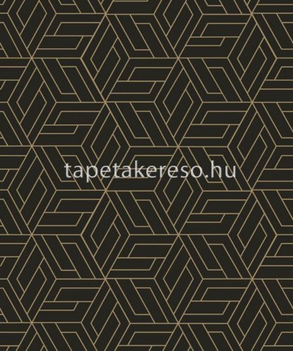 Omura Vertical Art habos, vlies anyagú fekete, arany színű geometriai modern tapéta