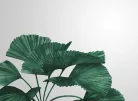 AS Creation DesignWalls 2 vlies anyagú zöld, szürke színű leveles modern poszter