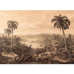   AS Creation DesignWalls 2 vlies anyagú barna színű tájkép modern poszter