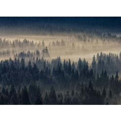   AS Creation DesignWalls 2 vlies anyagú barna, fekete színű erdő modern poszter