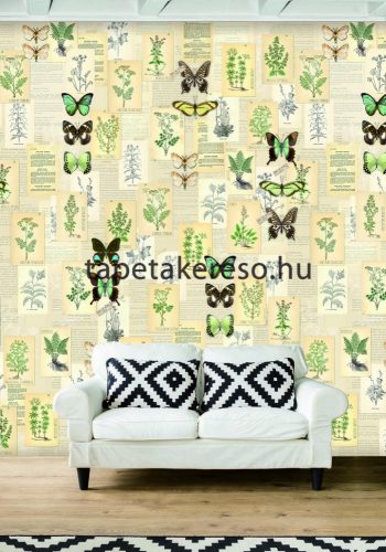 Behang Expresse COLOR CHOC vlies anyagú sárga, zöld, beige színű pillangós, növényes gyerek poszter