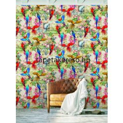   Behang Expresse COLOR CHOC vlies anyagú piros, kék, sárga színű madaras gyerek poszter
