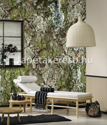 Behang Expresse NEW MATERIALS vlies anyagú barna, zöld, beige színű repedezett, fás modern poszter