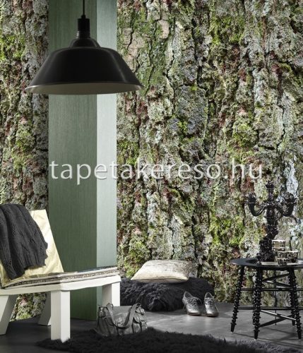 Behang Expresse NEW MATERIALS vlies anyagú szürke, zöld, barna színű repedezett, fás modern poszter
