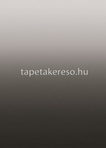 Behang Expresse Esbjerg vlies anyagú fekete, szürke színű színátmenetes modern tapéta