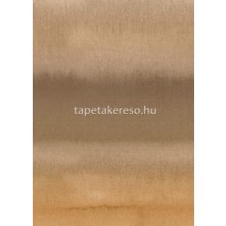   Behang Expresse Esbjerg vlies anyagú barna színű színátmenetes modern tapéta